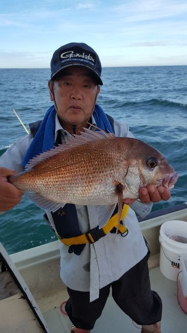 海峰 釣果