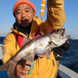 へいみつ丸 釣果