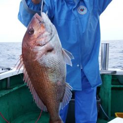 第三むつりょう丸 釣果