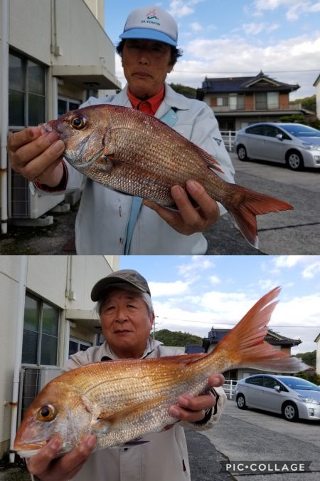 桑田観光 釣果