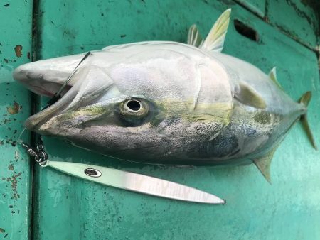 広進丸 釣果