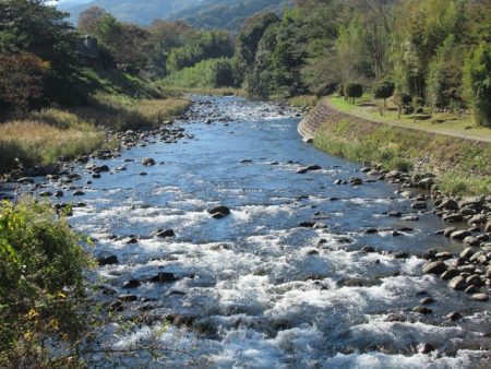 狩野川（狩野川漁業協同組合） 釣果