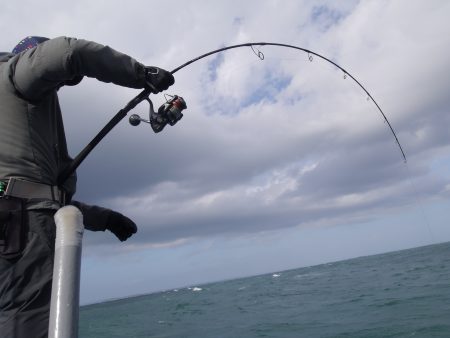 松鶴丸 釣果