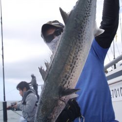 松鶴丸 釣果