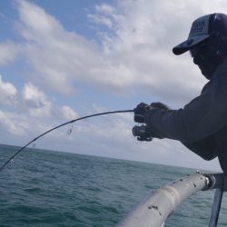 松鶴丸 釣果