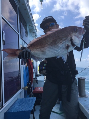 シーモンキー 釣果