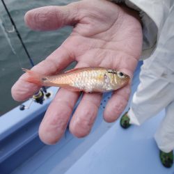 松鶴丸 釣果