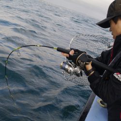 松鶴丸 釣果