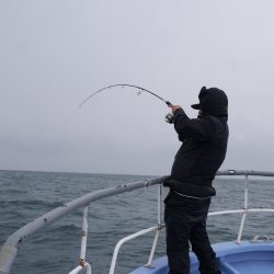 松鶴丸 釣果