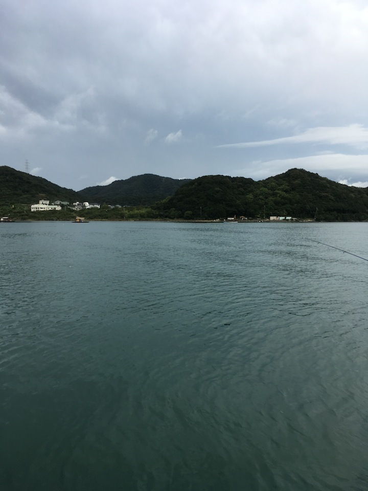 徳島・鳴門堂浦ウチノ海の筏ダンゴ釣り