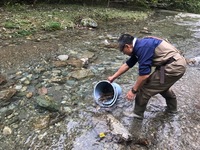 秩父フライフィールド 釣果