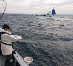 かねい丸 釣果