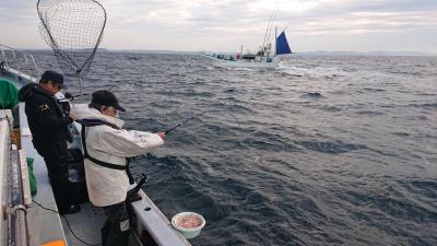 かねい丸 釣果