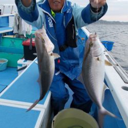 佐衛美丸 釣果