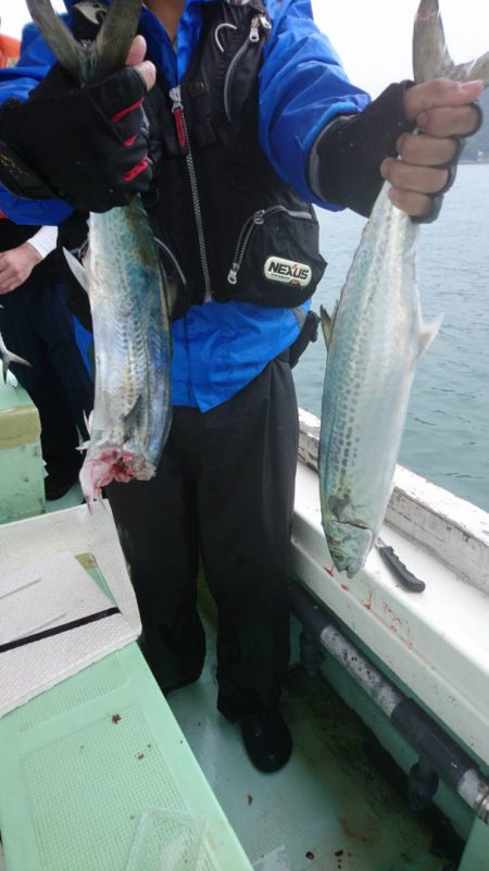 小島丸 釣果