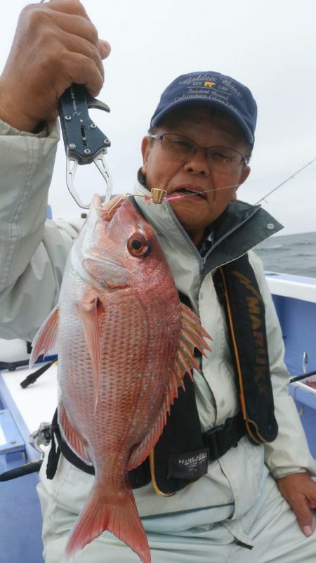 新幸丸 釣果