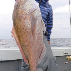 だて丸 釣果