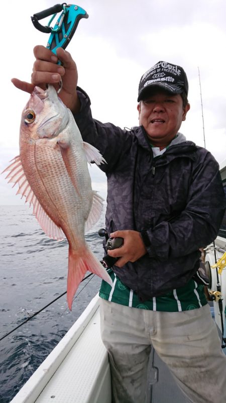 だて丸 釣果