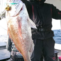 だて丸 釣果