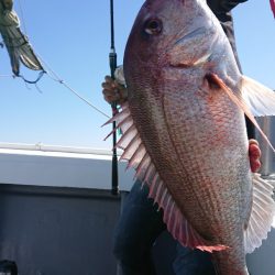 だて丸 釣果