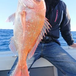 だて丸 釣果