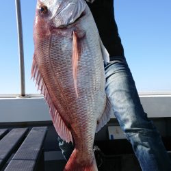 だて丸 釣果