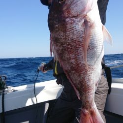 だて丸 釣果