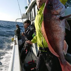 だて丸 釣果