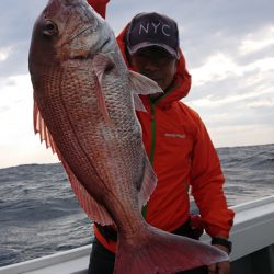 だて丸 釣果