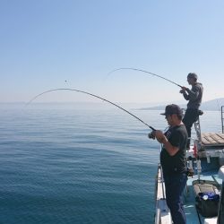 シースナイパー海龍 釣果