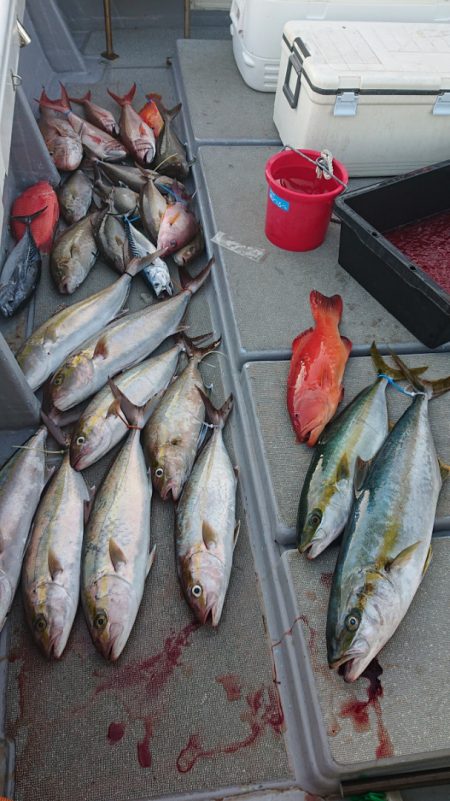 海皇丸 釣果