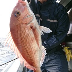 だて丸 釣果