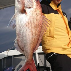 だて丸 釣果