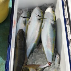 丸万釣船 釣果