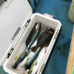 丸万釣船 釣果