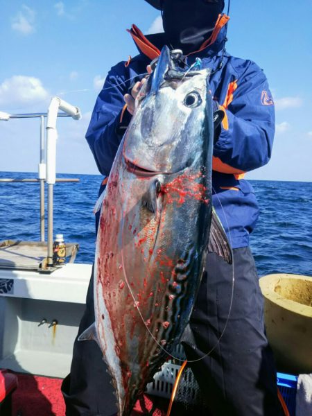 光生丸 釣果