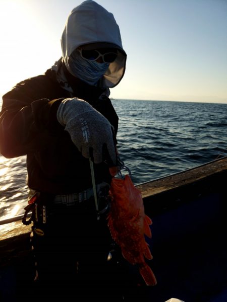 海龍丸（石川） 釣果