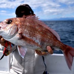 渡船屋たにぐち 釣果