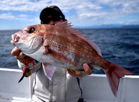 渡船屋たにぐち 釣果