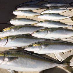 大雄丸 釣果