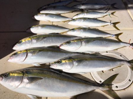 大雄丸 釣果