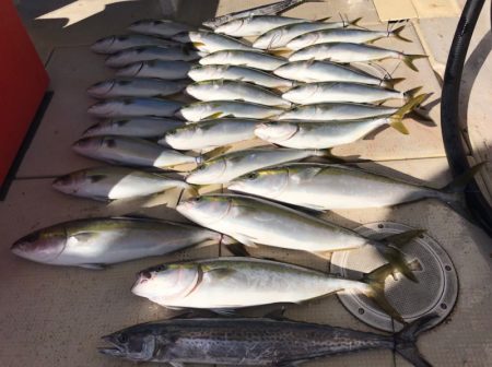 大雄丸 釣果