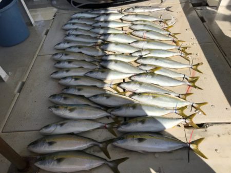 大雄丸 釣果