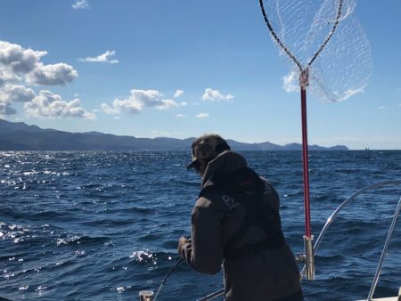 海友丸 釣果