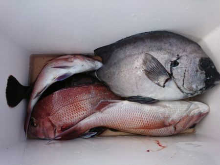 新幸丸 釣果