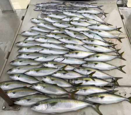 大雄丸 釣果