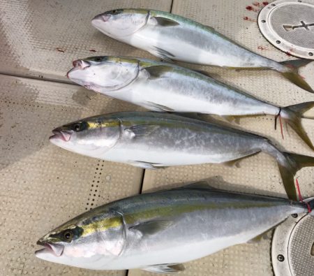 大雄丸 釣果