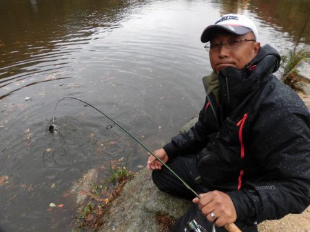 平谷湖フィッシングスポット 釣果