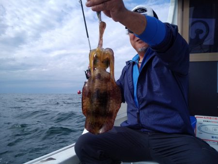 ひな丸 釣果