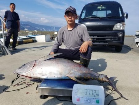 ゆたか丸 釣果